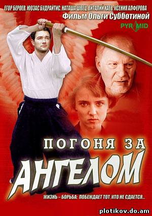 Погоня за ангелом