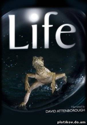 Жизнь / Life