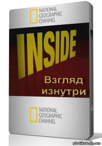 Взгляд изнутри