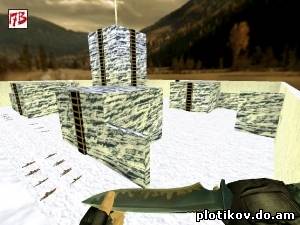 FY_ICE